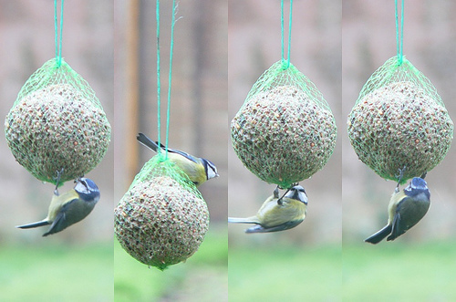 100856073_a19f282b6a